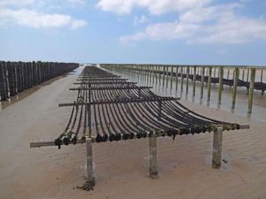 Maison Bord De Mer Individuel Gouville-sur-Mer Zewnętrze zdjęcie